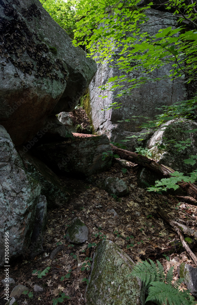 Huge glacial boulders along a forest trail in Frost Centre in Ontario