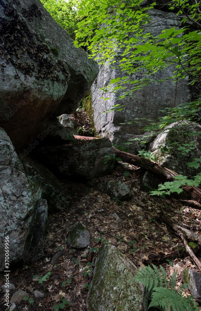 Huge glacial boulders along a forest trail in Frost Centre in Ontario Huge glacial boulders along a forest trail in Frost Centre in Ontario