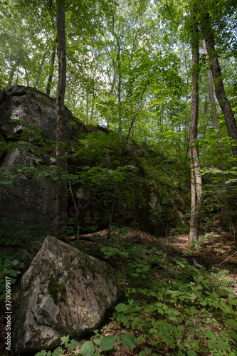 Huge glacial boulders along a mixed boreal forest trail in Frost Centre in Ontario 