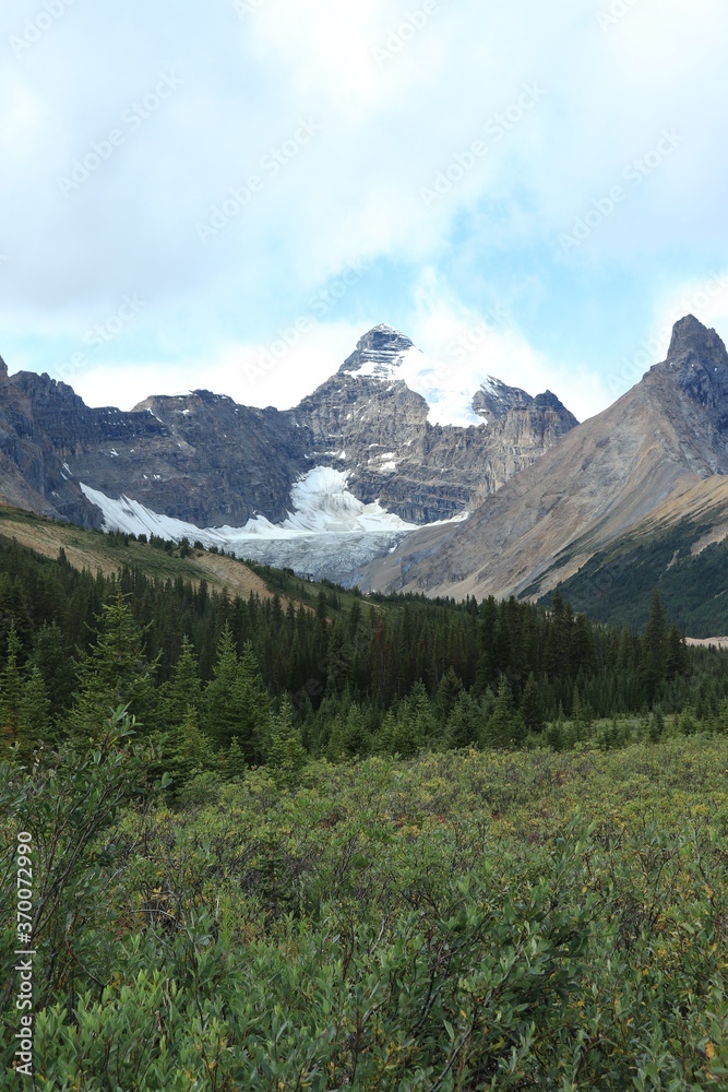 Fototapeta premium カナダのカナディアンロッキー、バンフ国立公園. ジャスパー国立公園