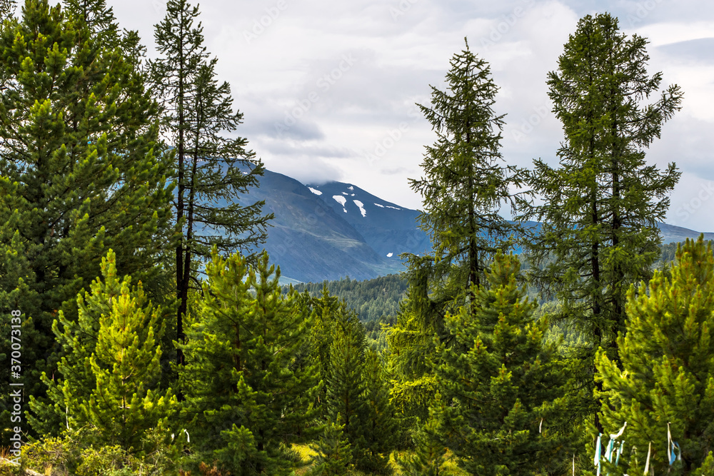 Fototapeta premium Ulagan pass. Mountain Altai