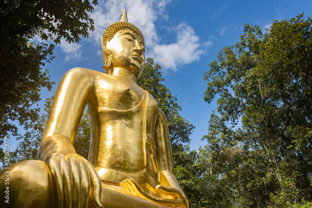 Phayao, Thailand - Nov 24, 2019: Gold Buddha Statue on Green Tree and Blue Sky Background with Natural Light at Left Frame Phayao, Thailand - Nov 24, 2019: Gold Buddha Statue on Green Tree and Blue Sky Background with Natural Light at Left Frame