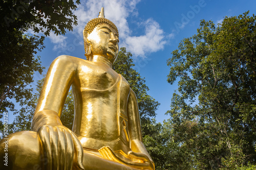 Phayao  Thailand - Nov 24  2019  Gold Buddha Statue on Green Tree and Blue Sky Background with Natural Light at Left Frame