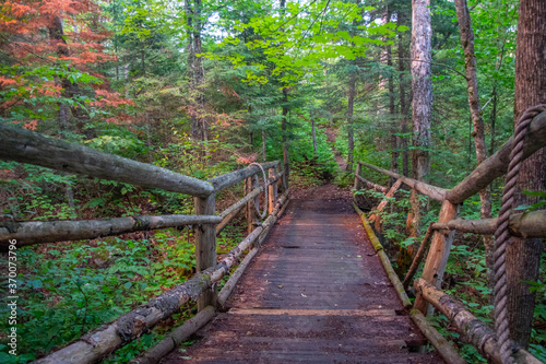 Transitions - old wooden bridge in the forest  Quebec  Canada