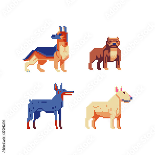 Dog breeds. Pixel art icons set. Logo pet shop. Stickers and embroidery design. Bull terrier, german shepherd, doberman and boxer dog. Game assets. Isolated vector illustration. 