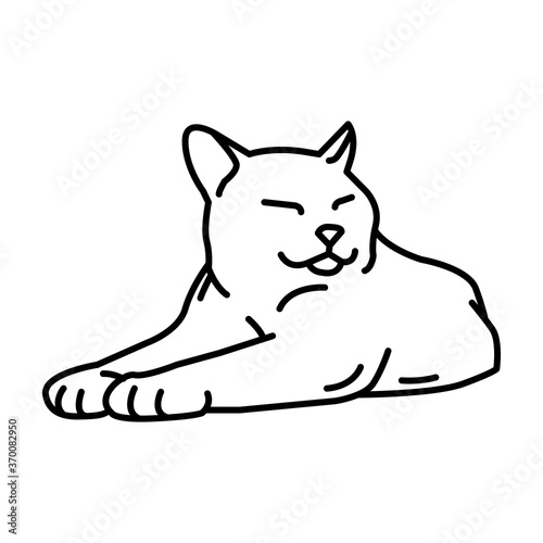 Simple modern cat logo & icon for veterinary and pet shop business company