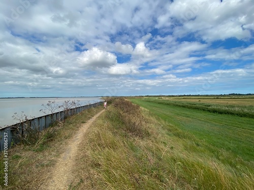 View of the broads National Park from the river bank in a cloudy day shoot taken against the sun with a dramatic sky and strong shadow.