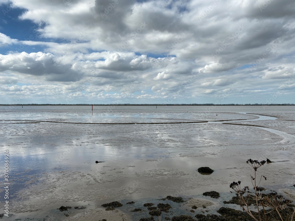 Fototapeta premium View of the broads National Park from the river bank in a cloudy day shoot taken against the sun with a dramatic sky and strong shadow.