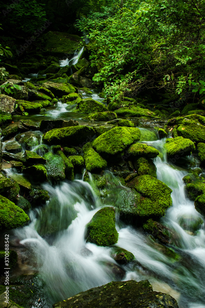 Mossy valley.Beautiful mountain stream with moss covered stone,