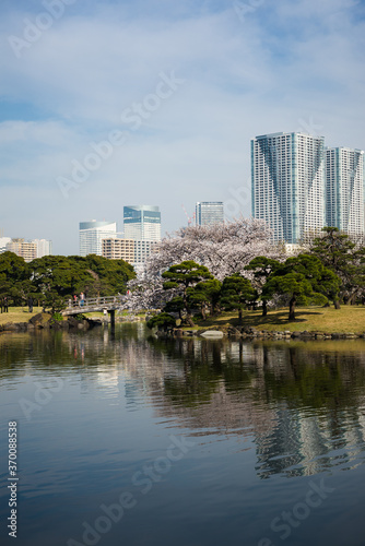 Hamarikyu Gardens in Tokyo, Japan