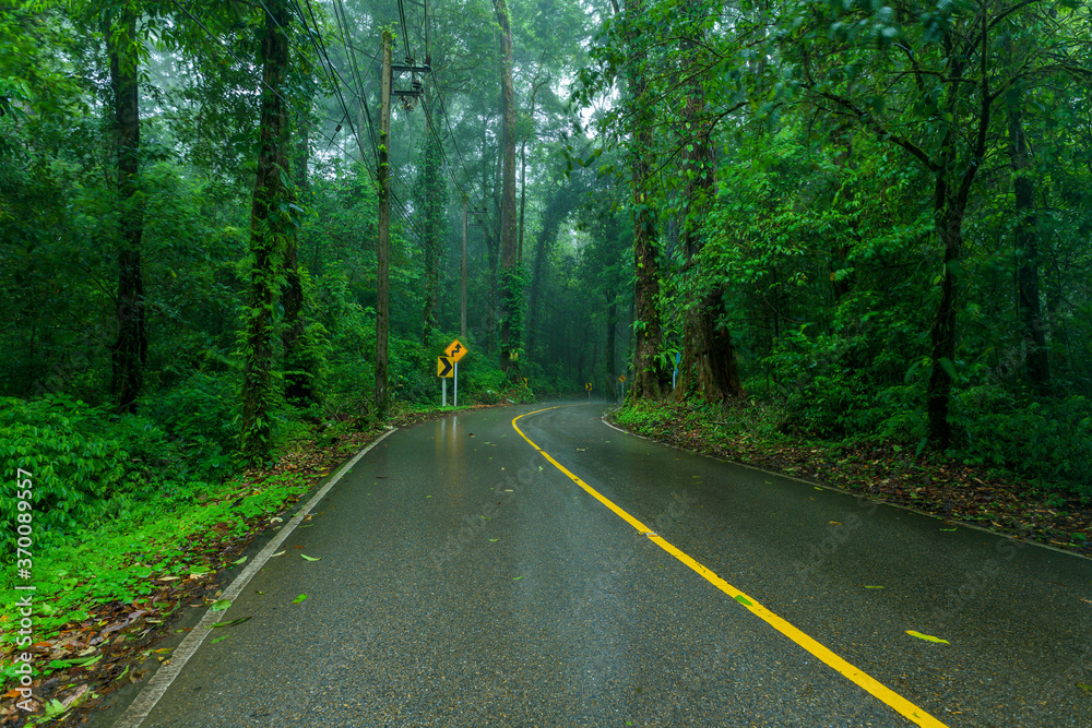 Fototapeta premium View asphalt road in the rainforest