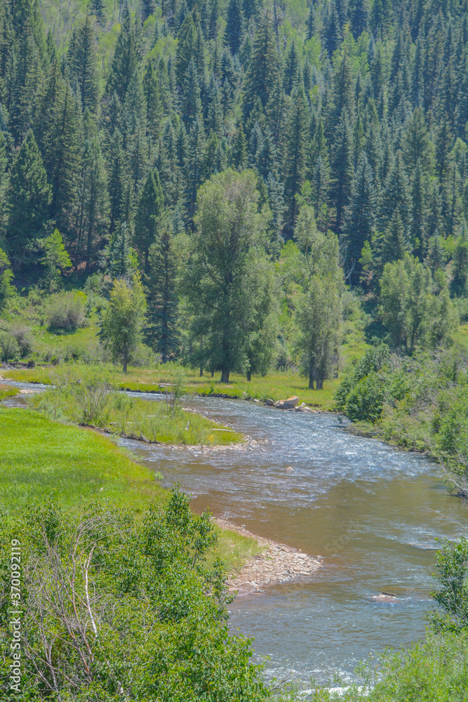 Beautiful view of Stoner Creek running through San Juan National Forest in Montezuma County, Colorado