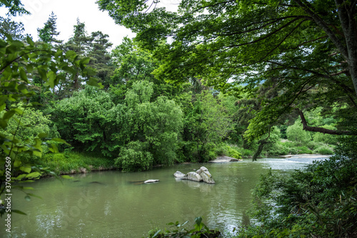 Small lake,forest and mountain landscape with reflection at spring time.