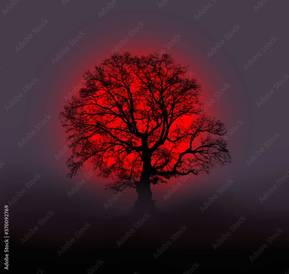 Dry dead tree alone without leaves on dramatic dark sky background and red  sun Stock Photo | Adobe Stock