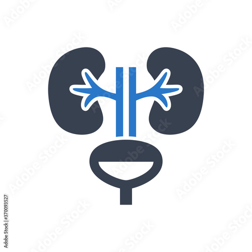 Urology icon
