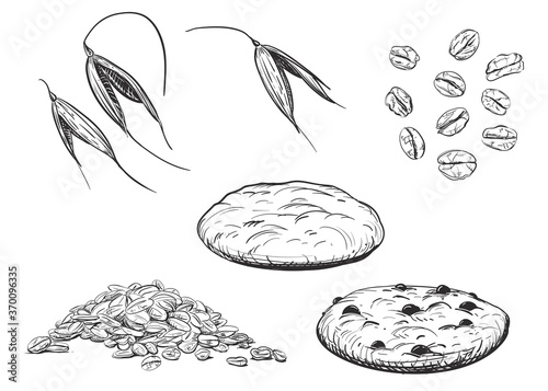 Detailed hand drawn ink black and white illustration set of oat, oatmeal biscuits, leaf. sketch. Vector. Elements in graphic style label, card, sticker, menu, package