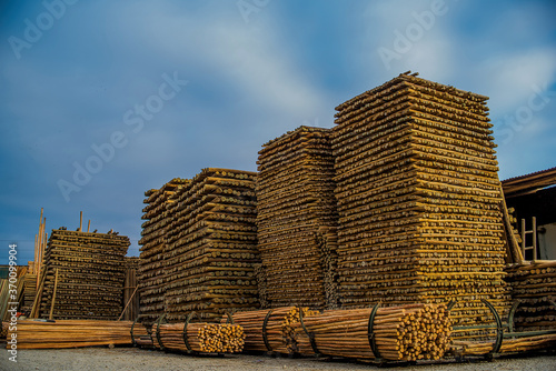 madera  corte de madera  tala de arboles   wood cut  cut down trees