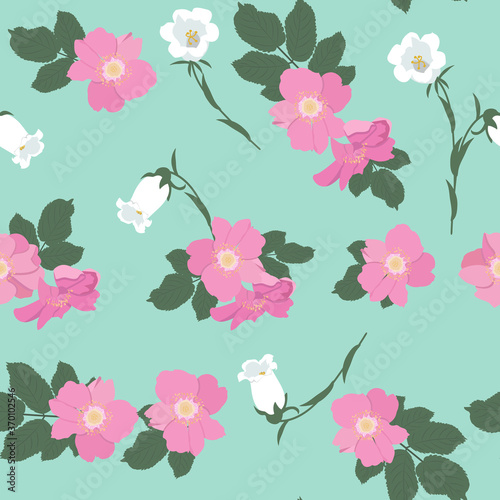 Seamless vector illustration with flowers of wild rose campanula