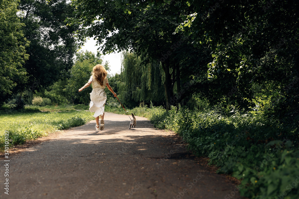 Fototapeta premium Woman in a long white dress back walks with a pet kitten breed Scottish Straight in the park in summer