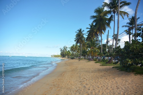 tropical beach with palm trees