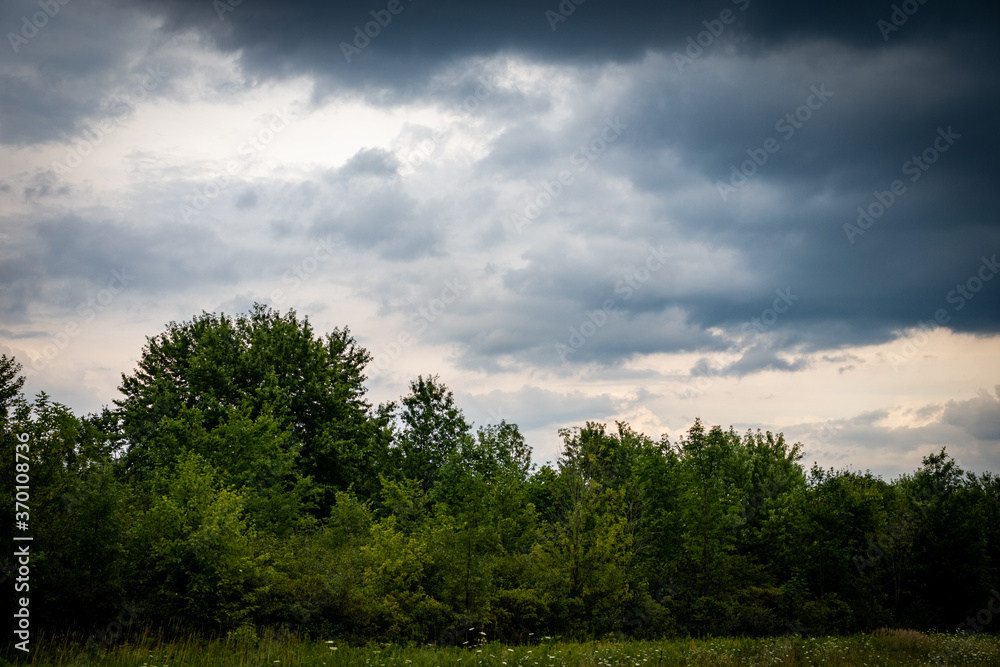 storm clouds over the forest