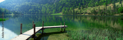 lake in forest with dock, dock in forest