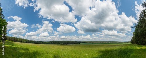 panorama meadow in front of forest, white clouds on blue sky