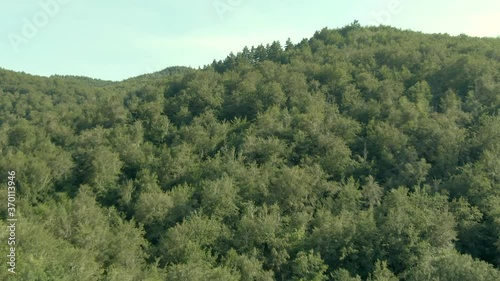 Vista aerea de pinares