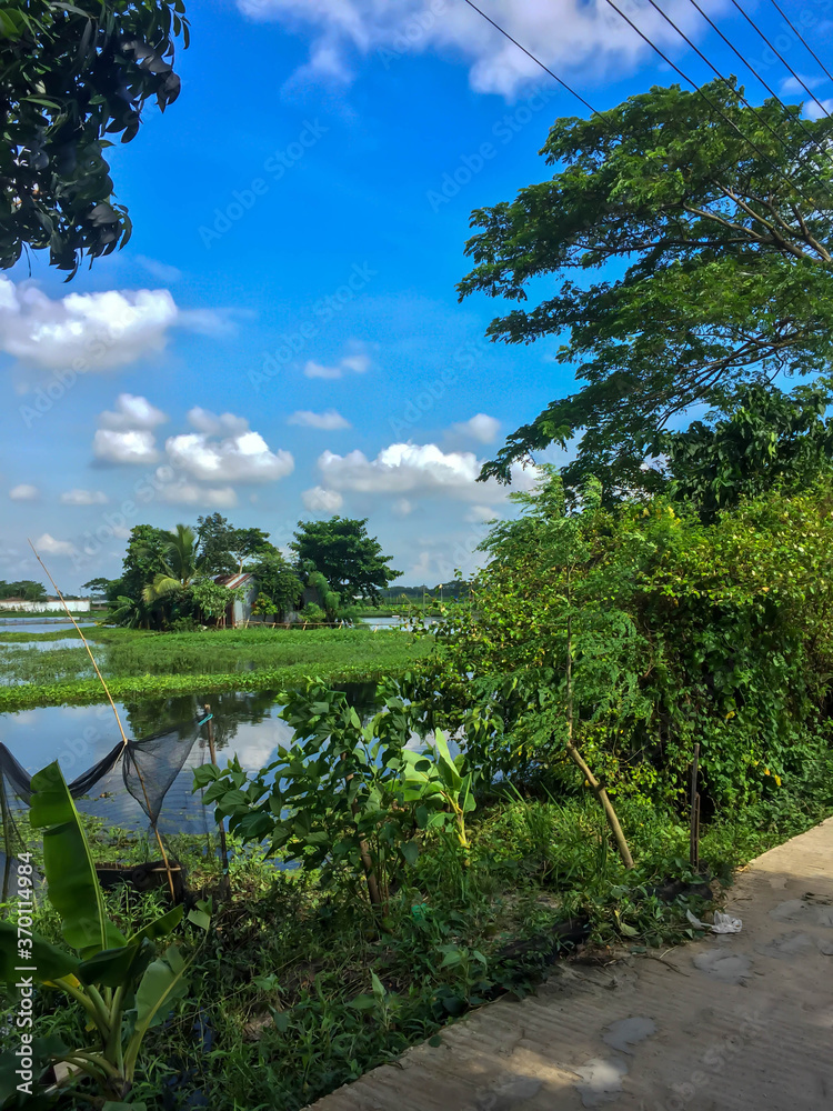 Naklejka premium tree and cloudy sky landscape view