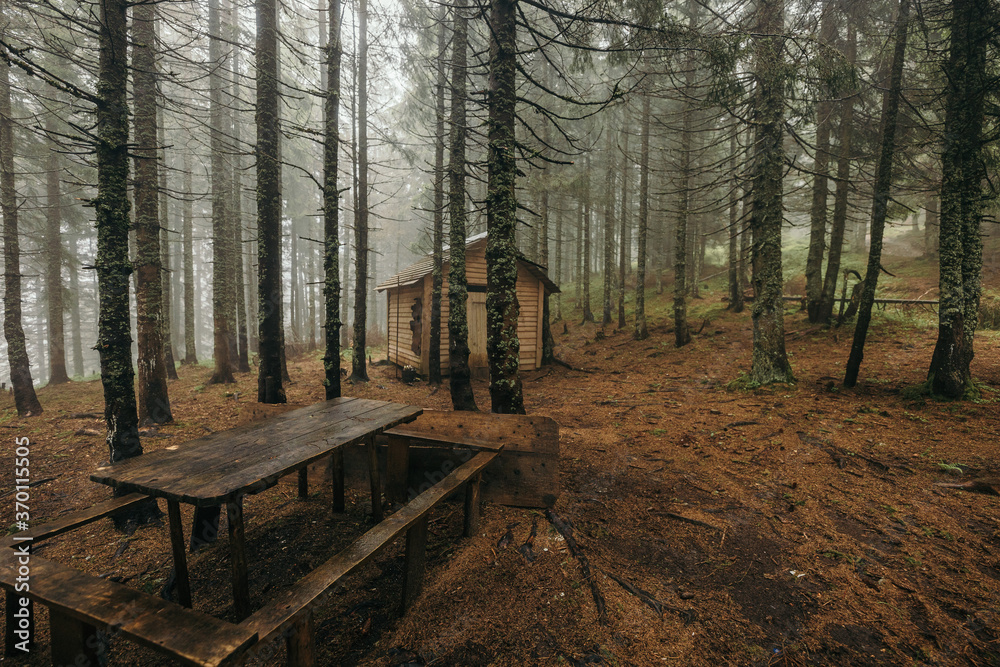 A wooden bench sitting next to a forest A wooden bench sitting next to a forest