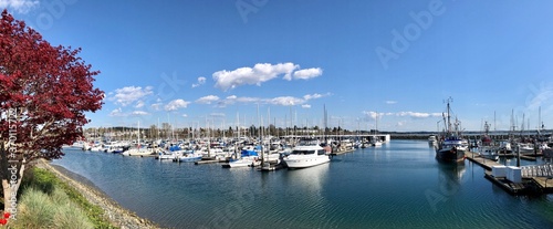 Marina Panoramic  photo