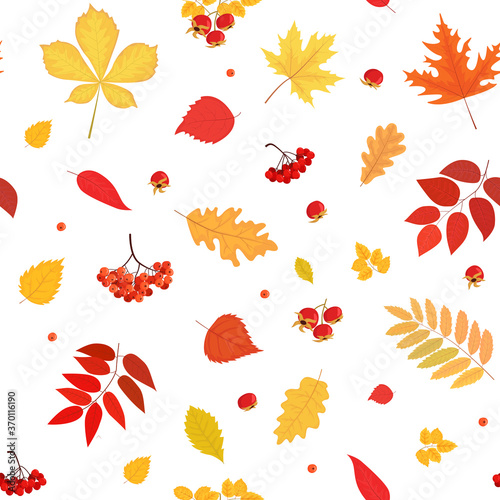 Seamless pattern from colored autumn leaves and berries. Vector illustration of maple, chestnut, mountain ash, oak, birch, wild rose, viburnum isolated on a white background.