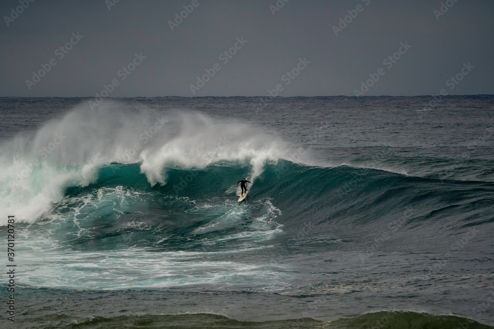 surfer catching a massive wave at Coogee beach/ Wedding Cake Island in Australia 