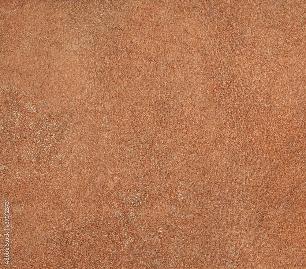 Fototapeta premium Natural leather structure material abstract texture background