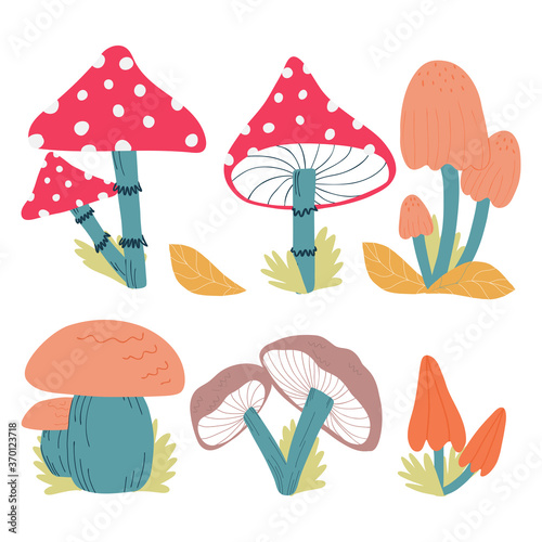 set of mushrooms. Scandinavian style. Vector.