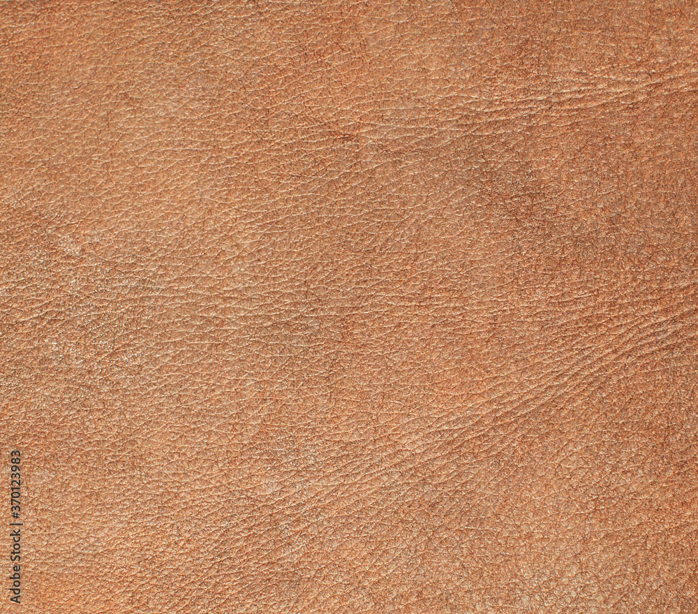 Fototapeta premium Natural leather structure material abstract texture background