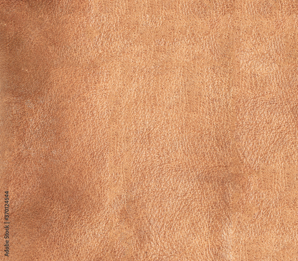 Fototapeta premium Natural leather structure material abstract texture background