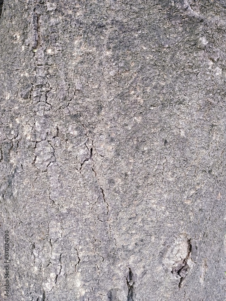 Fototapeta premium stone wall texture
