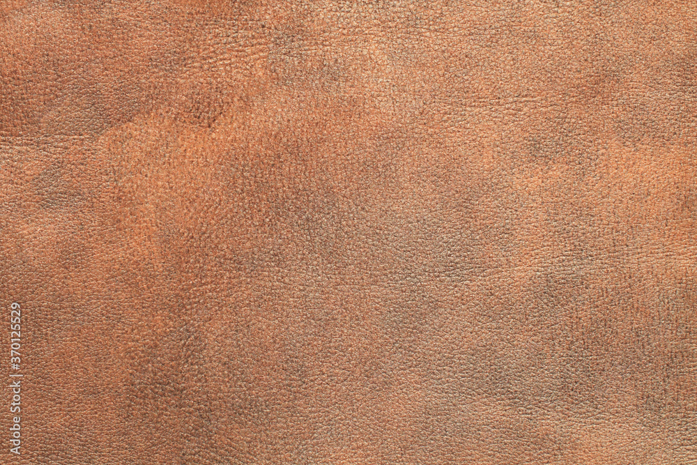 Fototapeta premium Natural leather structure material abstract texture background
