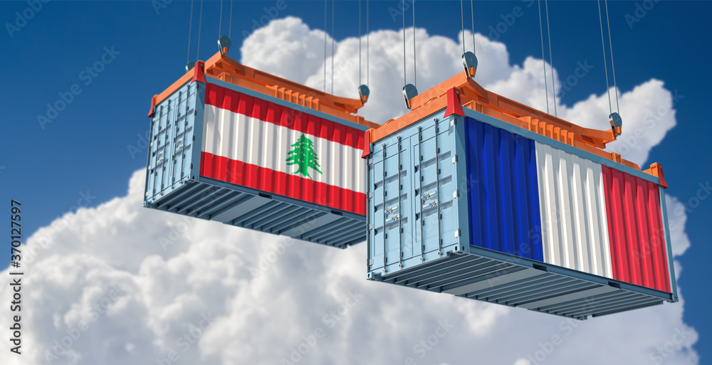 Freight containers with Lebanon and France flag. 3D Rendering 