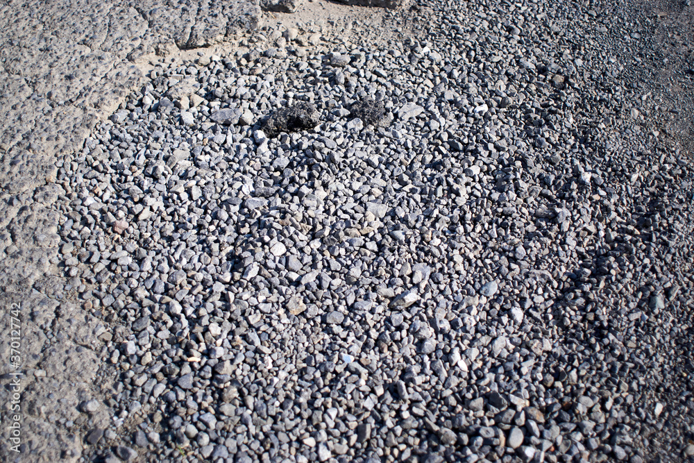 砂利道 足元 地面stock Photo Adobe Stock