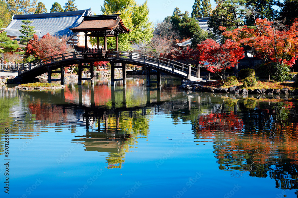 Obraz premium 虎渓山永保寺の紅葉 (岐阜県多治見市)