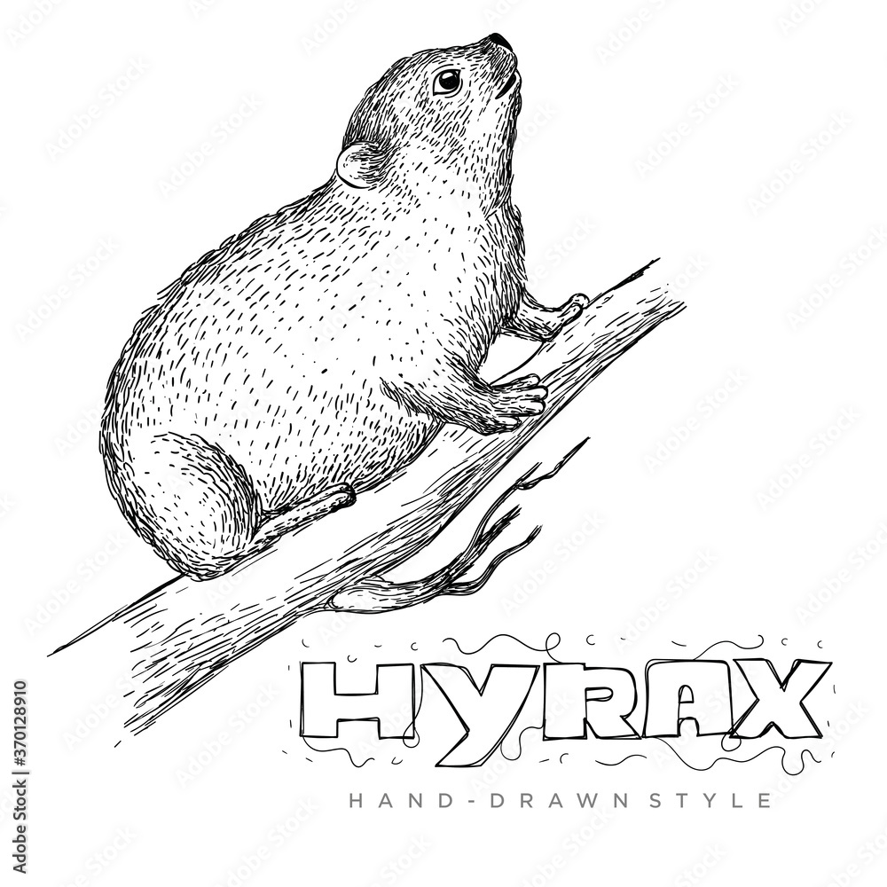 vector of hyrax on tree trunk. hand drawn animal illustrations to look realistic