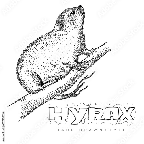 vector of hyrax on tree trunk. hand drawn animal illustrations to look realistic