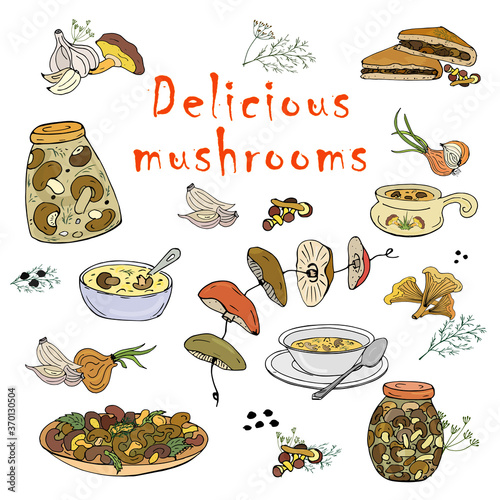 Preparations and mushroom dishes on a white background