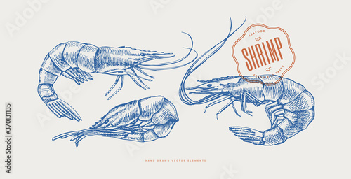 Hand-drawn large shrimp on a light background. Retro engraving for the menu of fish restaurants, for packaging in markets and shops. Vector vintage illustration. photo
