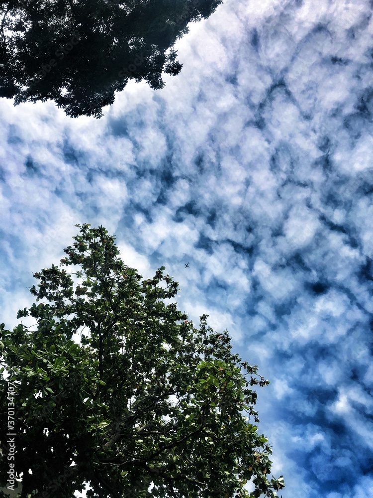 Fototapeta premium Plane passing