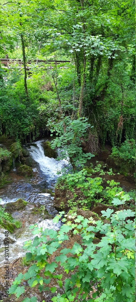 Obraz premium stream in the forest