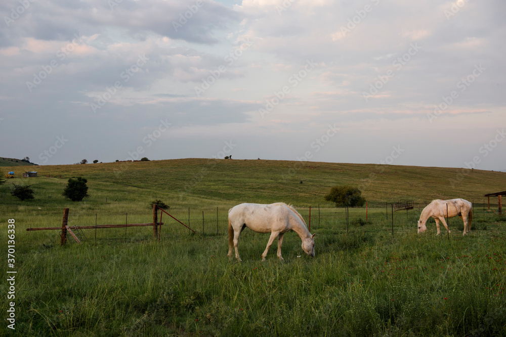 Fototapeta premium A farm where people hike in the Free State in South Africa