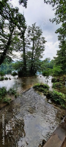 river in forest